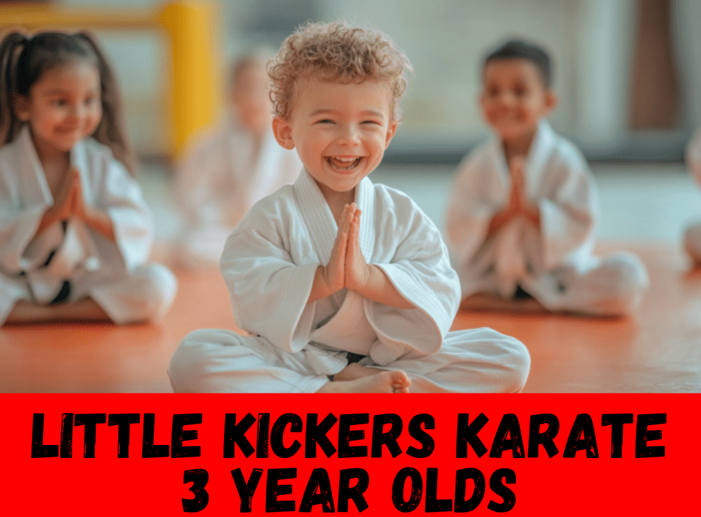 Little Kickers Karate Classes for 3 year olds