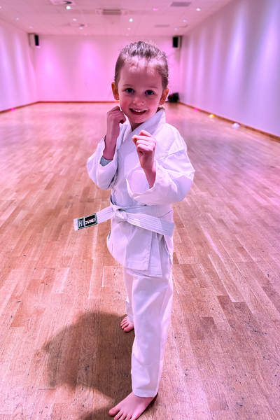 Little Ninjas Kids Karate in Redditch