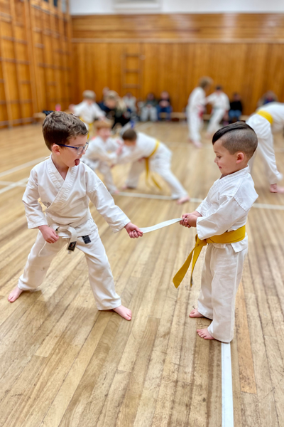 Little Ninjas Kids Karate Redditch